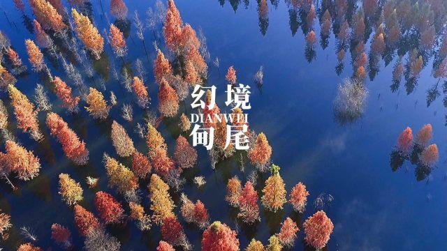 缤纷水果茶